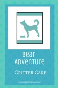 Bear Critter Care