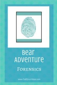 Bear Forensics