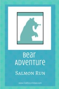 Bear Salmon Run