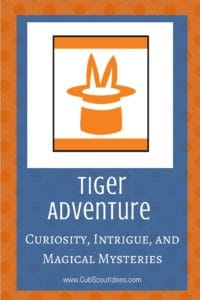 Tiger Curiosity Intrigue and Magical Mysteries