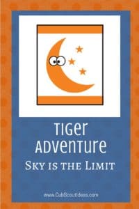 Tiger Sky is the Limit