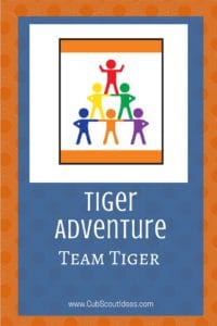 Tiger Team Tiger