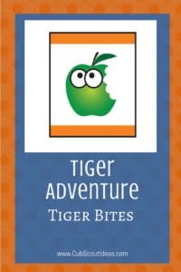 Tiger Tiger Bites