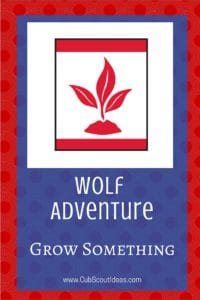 Wolf Grow Something
