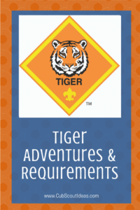 Cub Scout Tiger Requirements