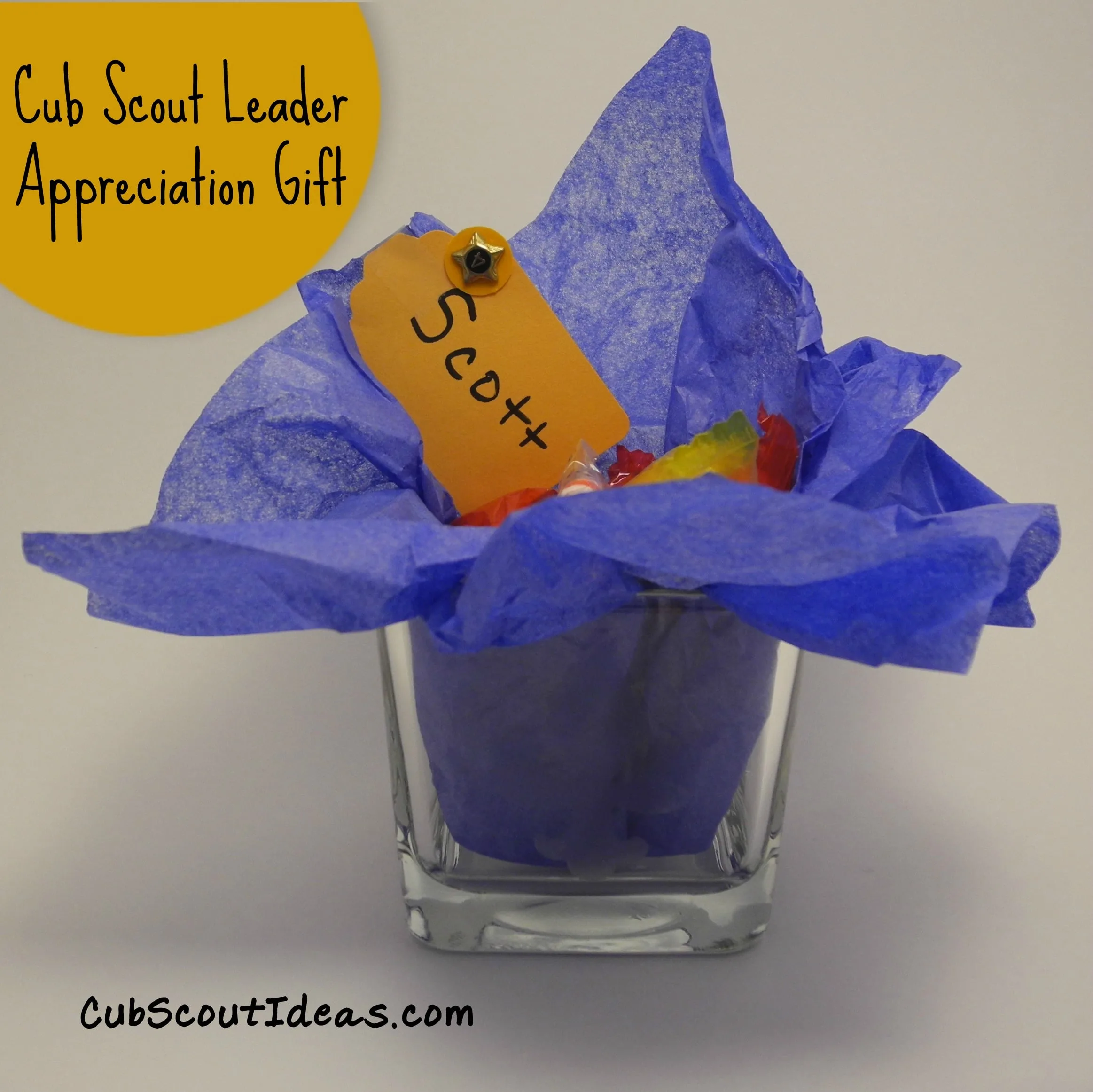 cub scout leader appreciation gift