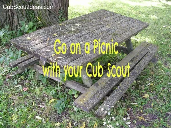 cub scout going on a picnic