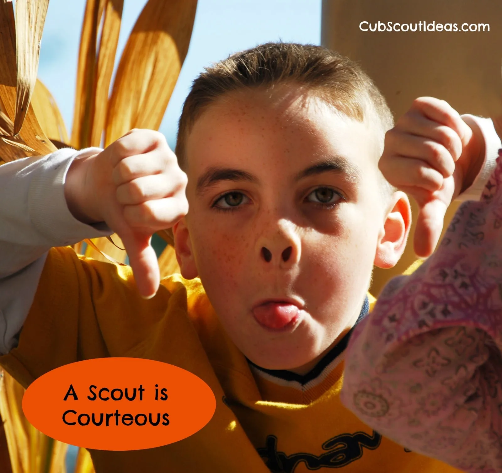 cub scout a scout is courteous
