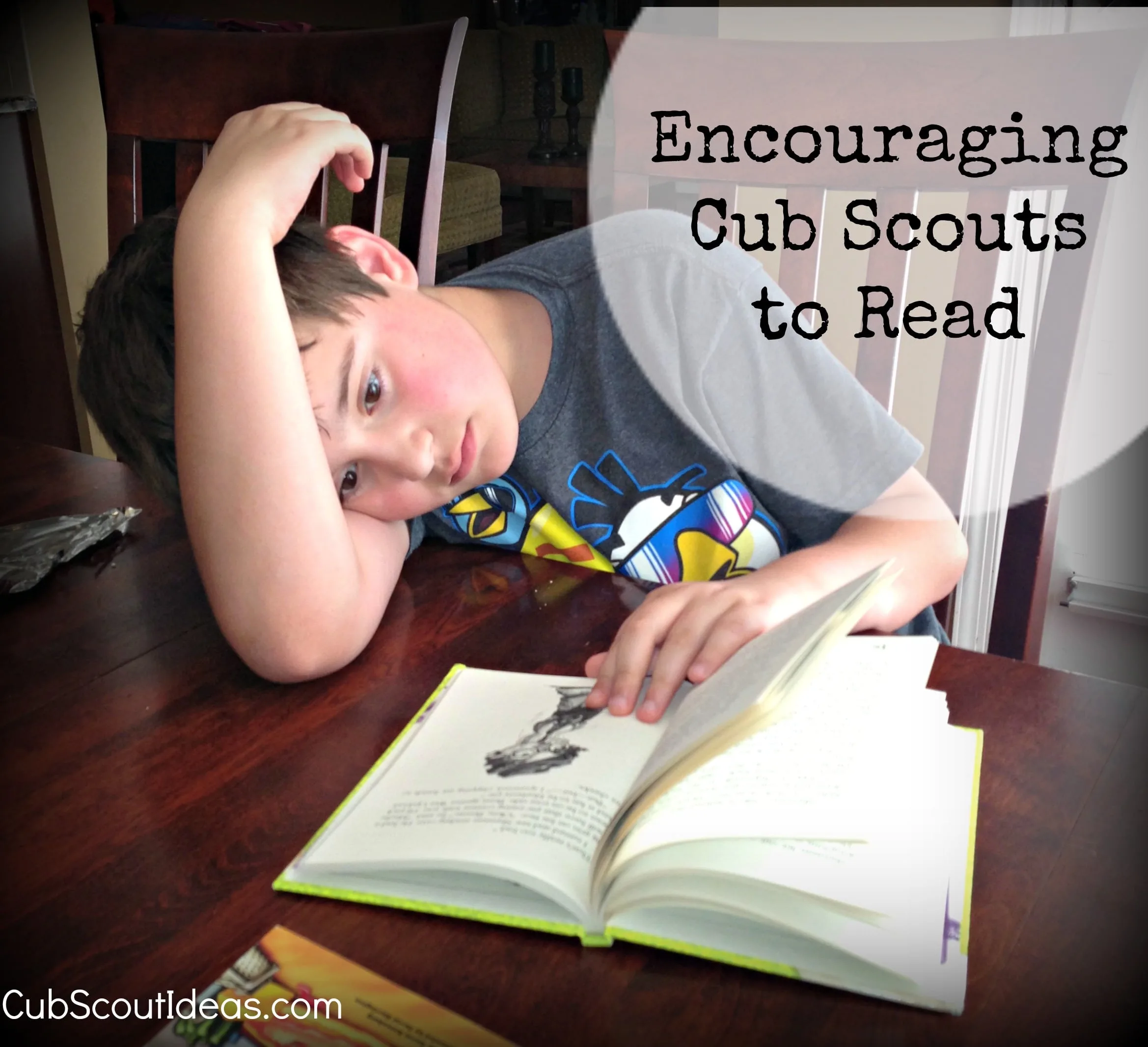 cub scout reading