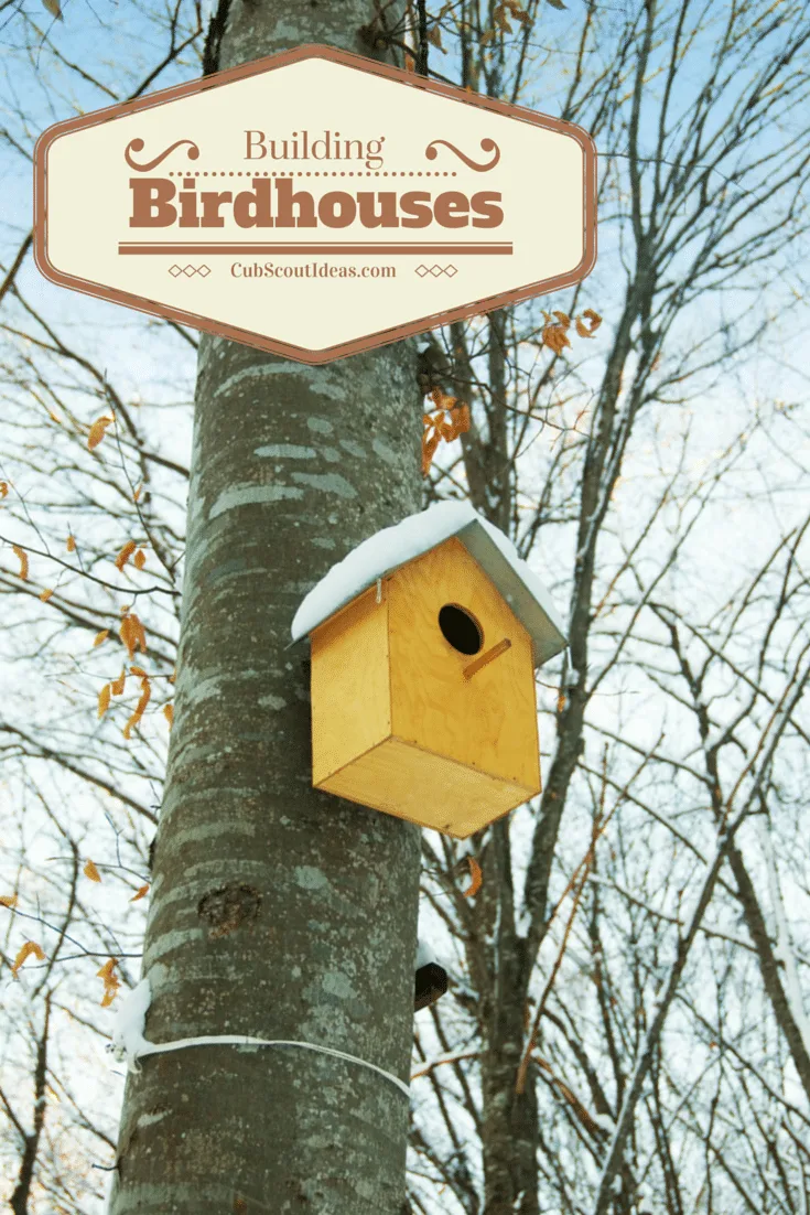 local bird house