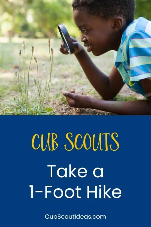 Cub Scouts take 1 foot hike