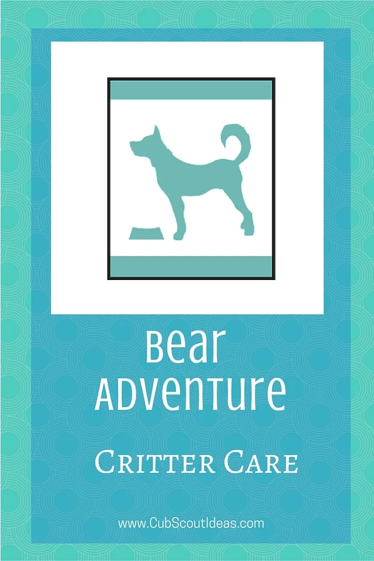Bear Cub Scout Critter Care