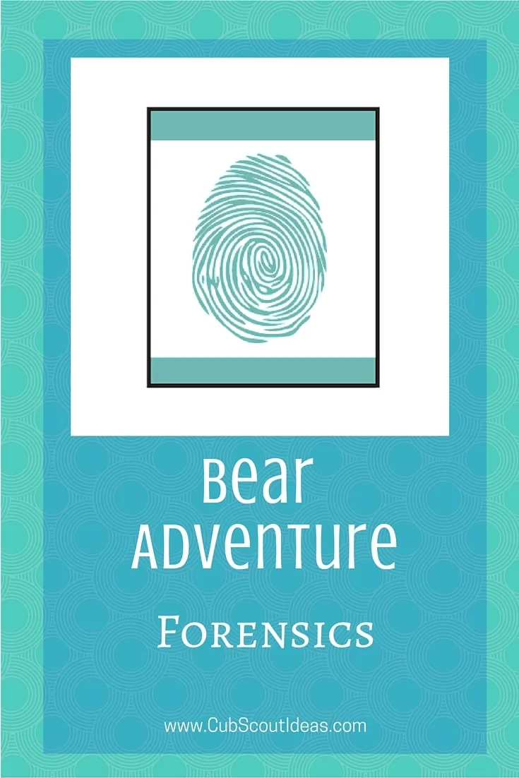 Bear Cub Scout Forensics