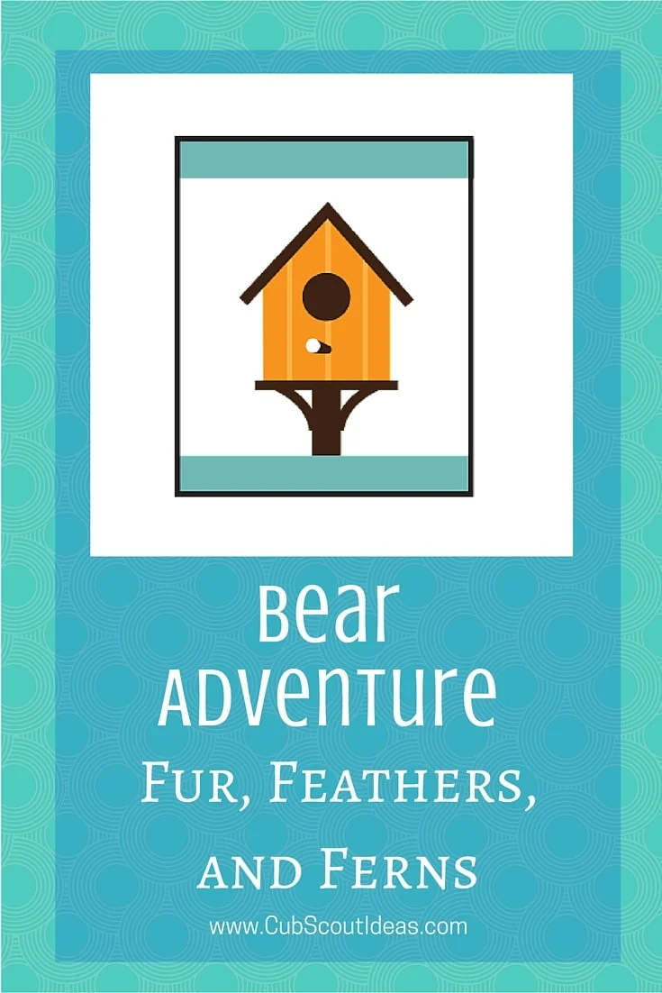 Bear Cub Scout Fur Feathers and Ferns