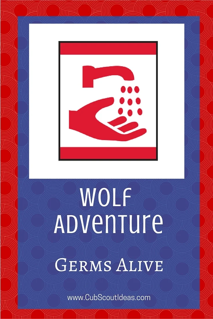 Cub Scout Wolf Germs Alive