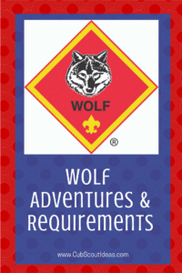 Cub Scout Wolf Requirements
