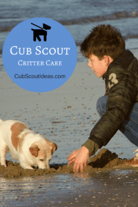 bear cub scout critter care