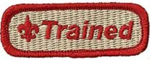 trained-patch