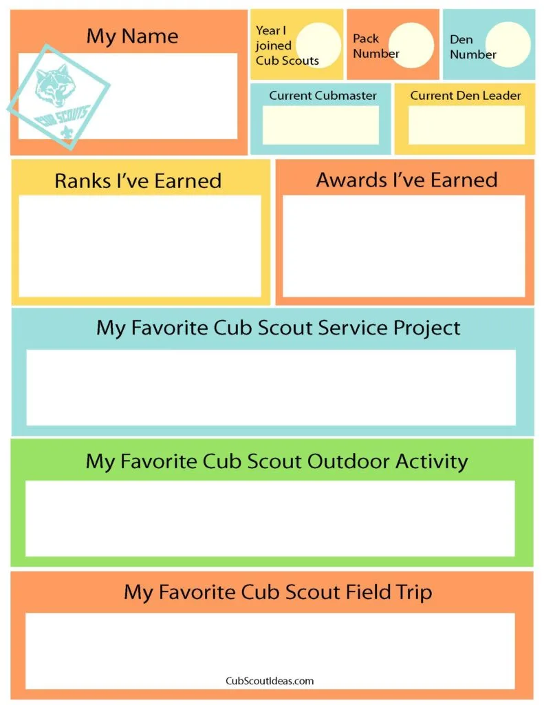 time capsule questionnaire for cub scouts