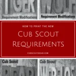 new cub scout requirements