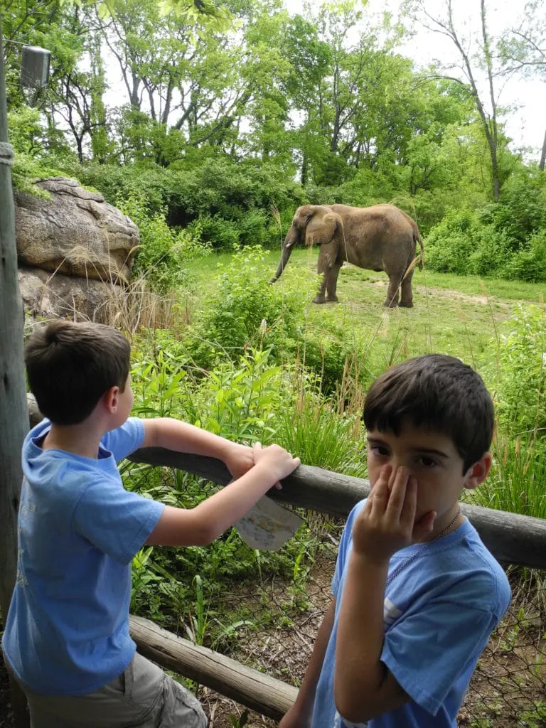 cub scout zoo trip for summertime pack award