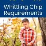 Whittling Chip Requirements
