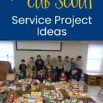 cub scout service project ideas