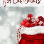 Top gift picks for cub scouts
