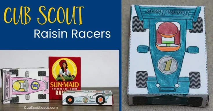 Cub Scout Raisin Racers for Pinewood Derby