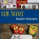 Cub Scout Raisin Racers