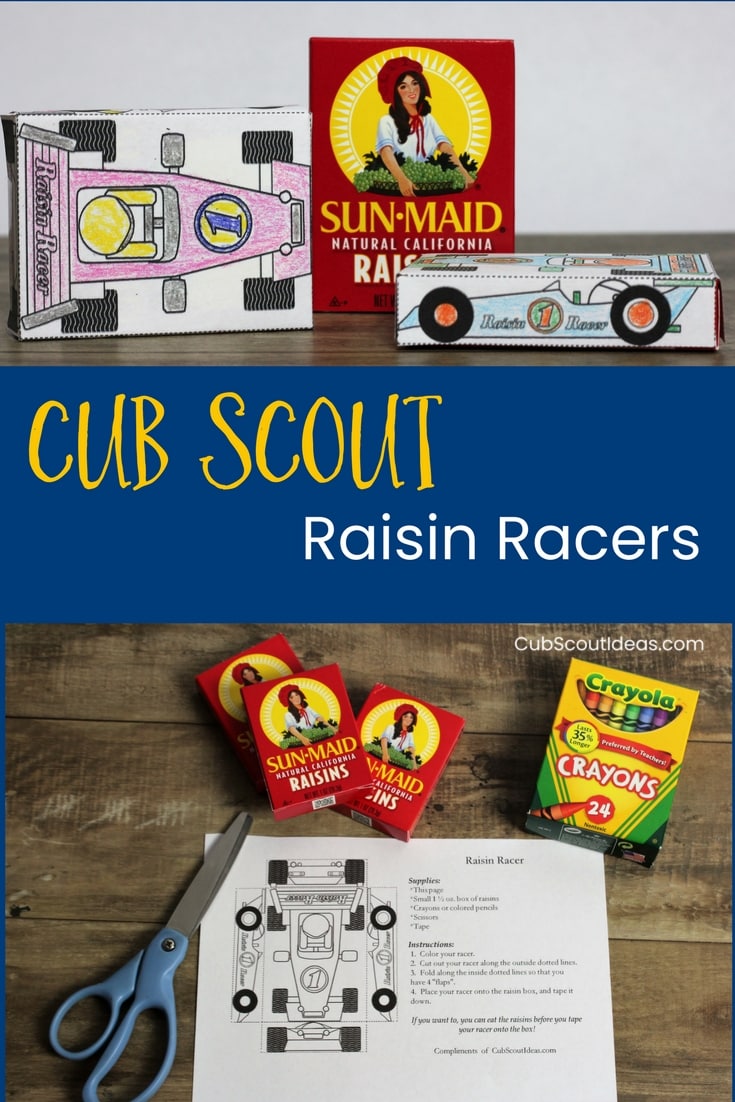Cub Scout Raisin Racers