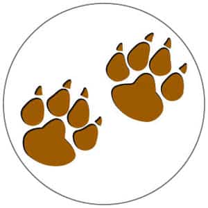 Lion Cub Scout Requirements (Required and Elective) | Cub Scout Ideas