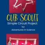 Cub Scout circuit project