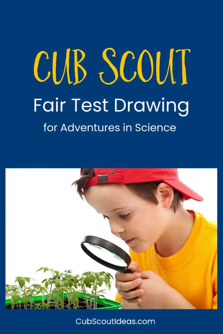 fair test drawing for Cub Scouts