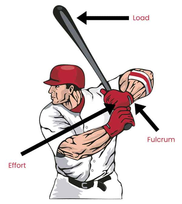 Example Of A Third Class Lever In Sport At Abby Choi Blog