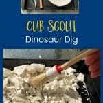 Cub Scout Dinosaur Dig