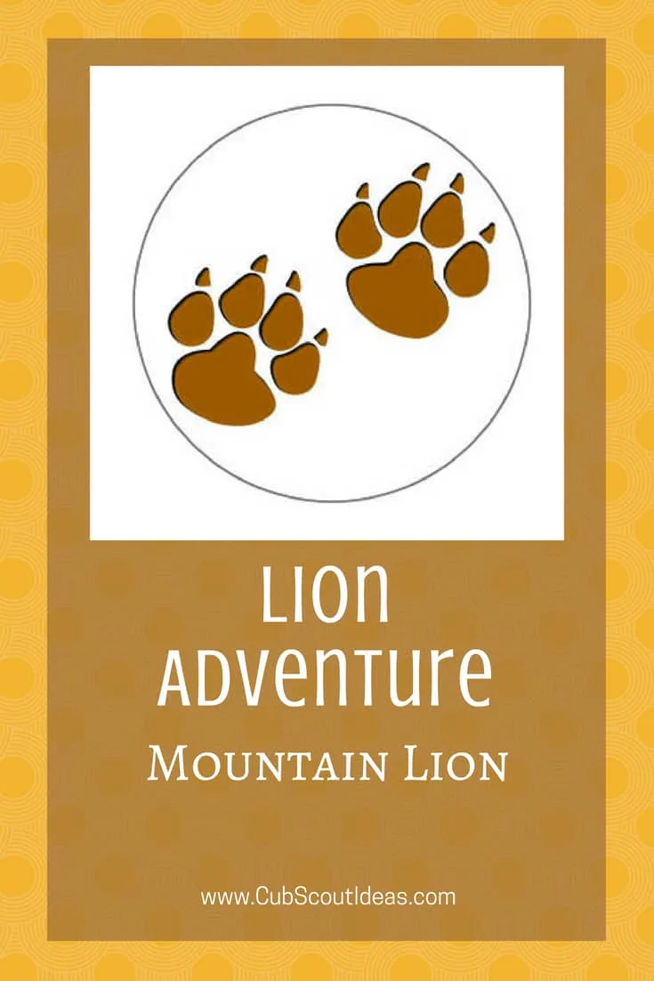 Cub Scout Lion Mountain Lion