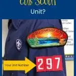 cub scout unit