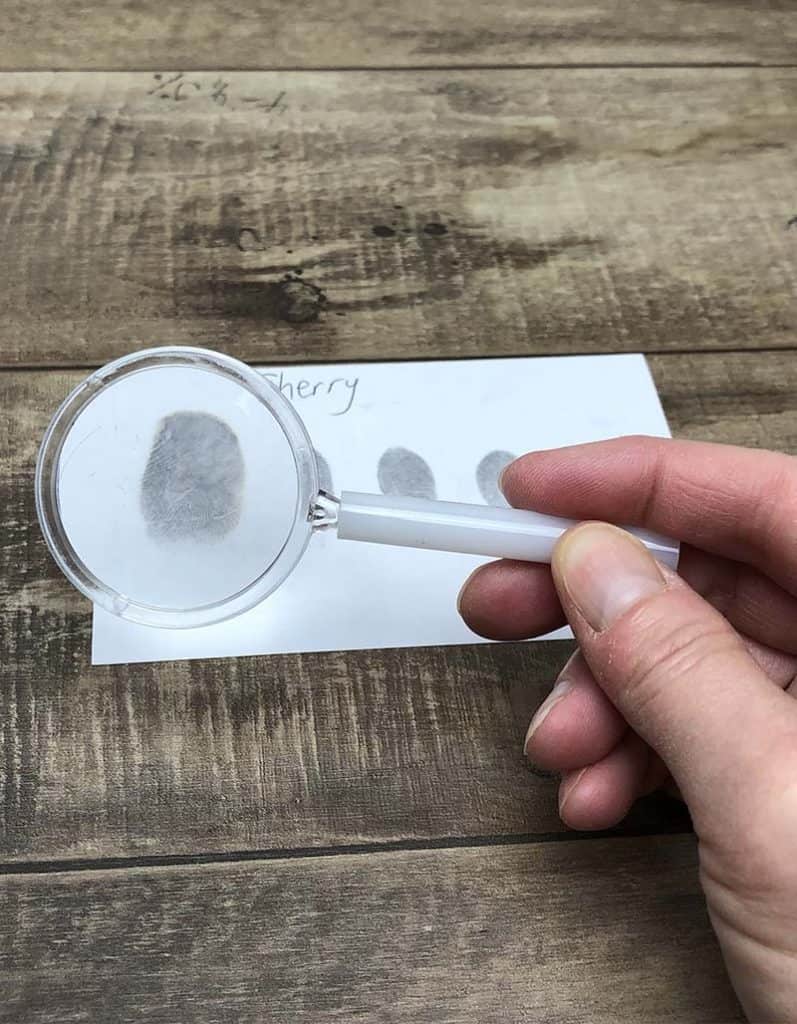 examine fingerprints with magnifying glass