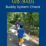 cub scout buddy system