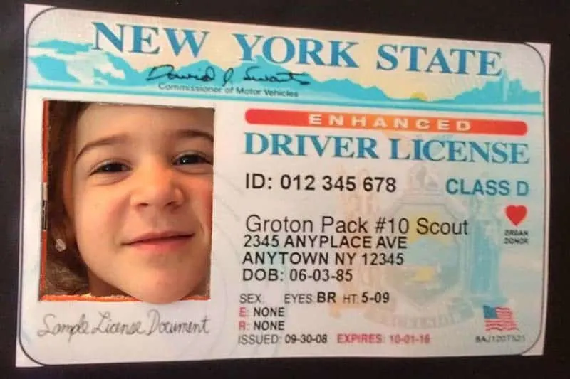 pinewood derby drivers license photo frame