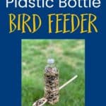 diy plastic bottle bird feeder