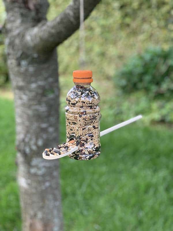 plastic bottle bird feeder