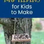 bird feeders for kids to make