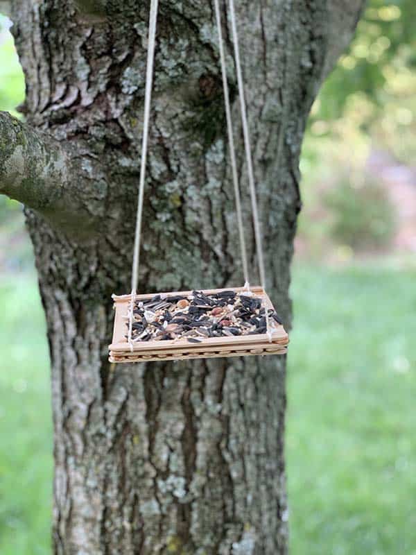 craft stick bird feeder