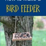 how to make a bird feeder