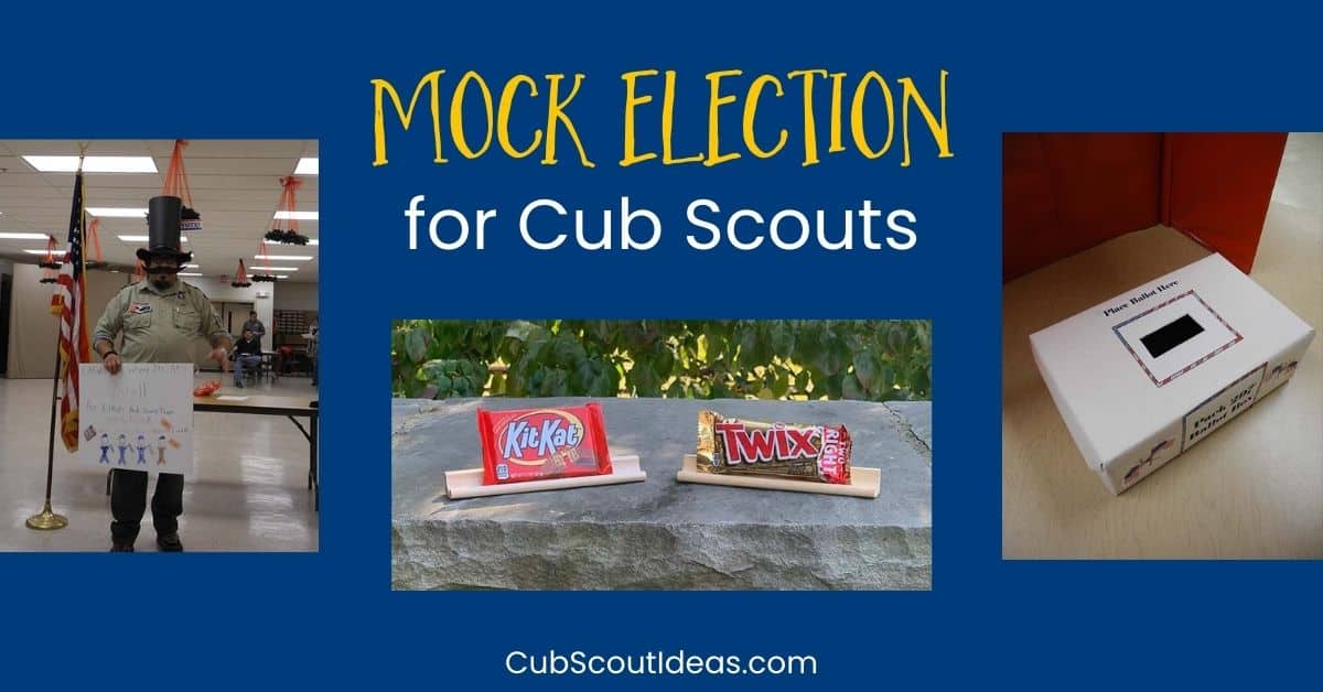 mock election for cub scouts