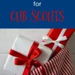 inexpensive stocking stuffers for cub scouts